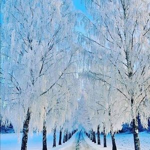 Meet your Posher, Bukili